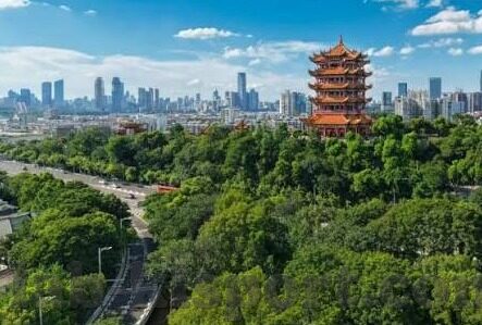 暴走大侠九游版下载-暴走大侠九游版下载体验，畅游武侠世界的奇妙旅程